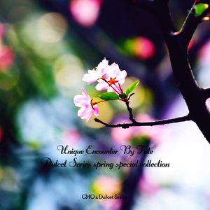 森日向子无码播放
